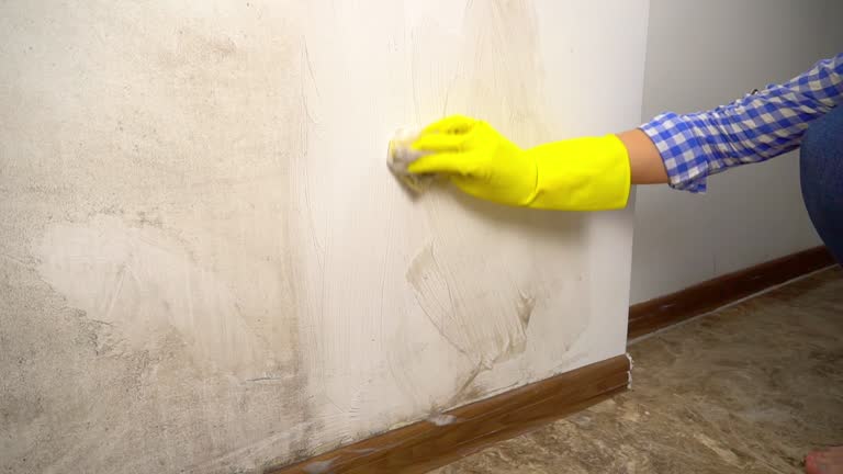 Mold Remediation for Rental Properties in Advance, NC